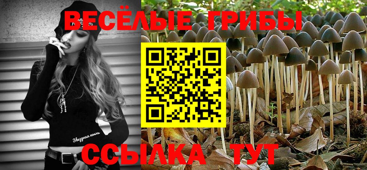 Лысьва  Псилоцибиновые грибы ЛСД  Вход с VPN 