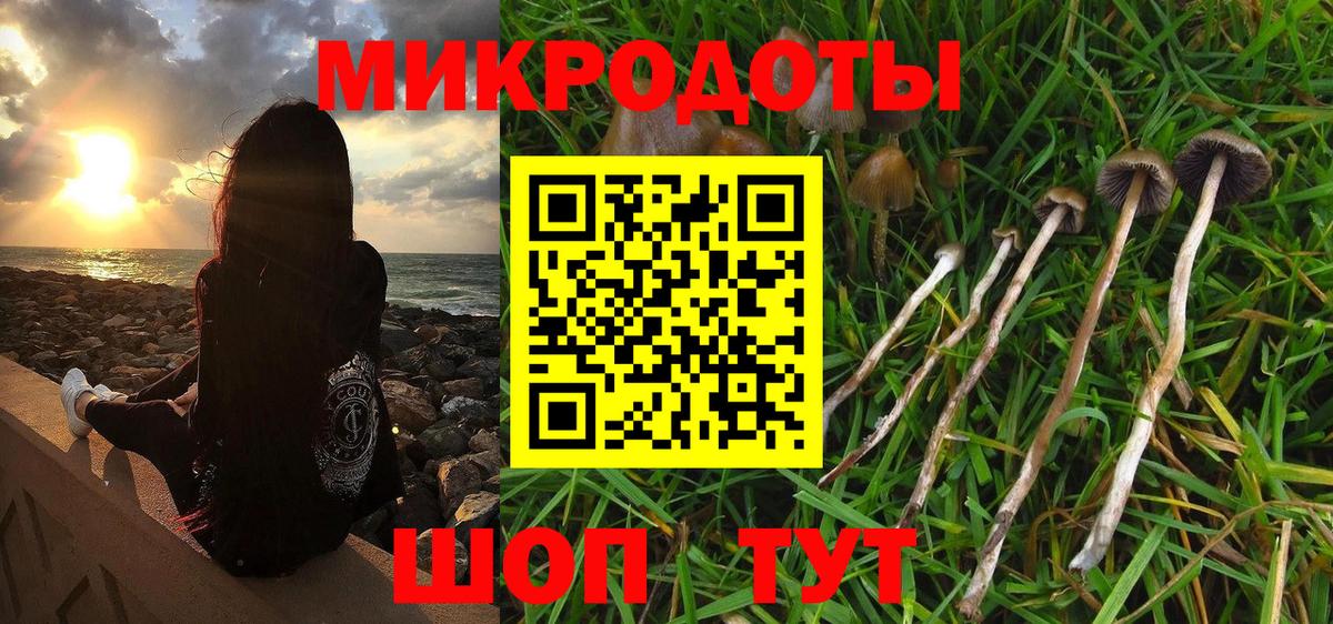 Галлюциногенные грибы GOLDEN TEACHER Лысьва